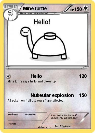 Pokemon Mine turtle