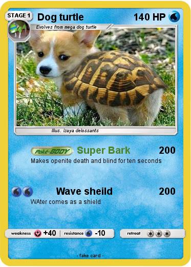 Pokemon Dog turtle