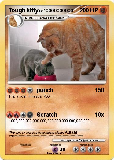 Pokemon Tough kitty