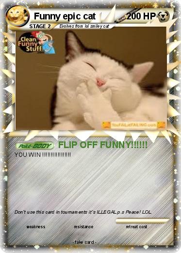 Pokemon Funny epic cat