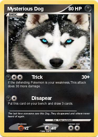 Pokemon Mysterious Dog