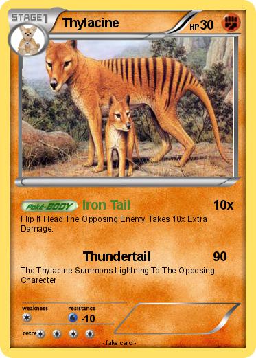 Pokemon Thylacine