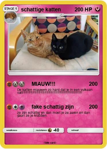 Pokemon schattige katten