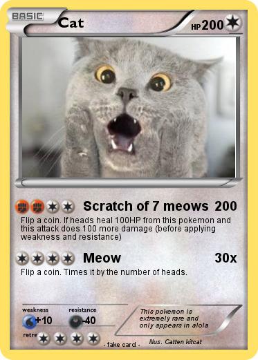 Pokemon Cat