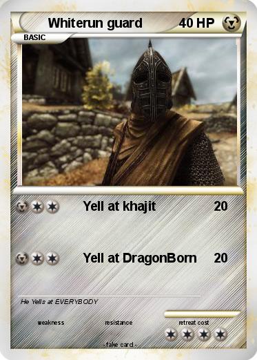 Pokemon Whiterun guard