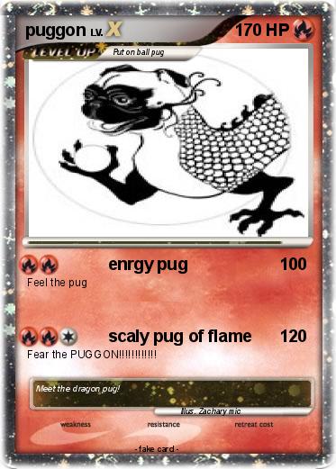 Pokemon puggon