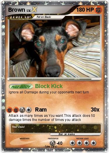 Pokemon Brown