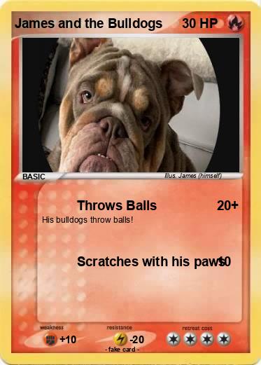 Pokemon James and the Bulldogs