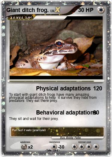 Pokemon Giant ditch frog.