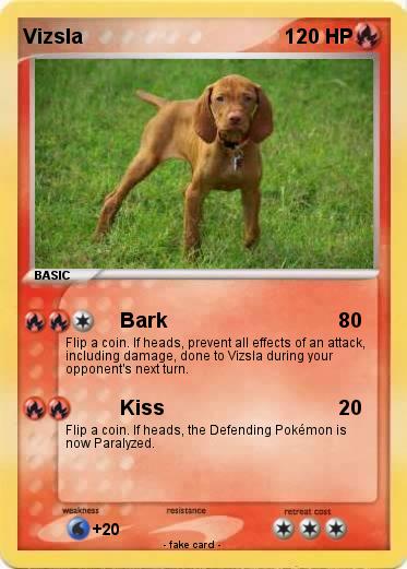 Pokemon Vizsla