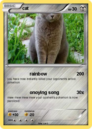 Pokemon cat