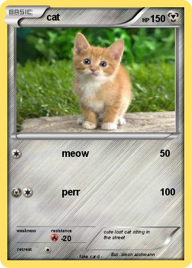 Pokemon cat