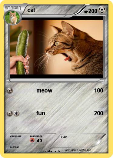Pokemon cat