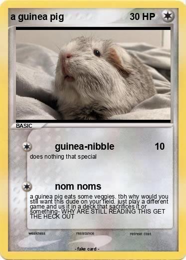 Pokemon a guinea pig