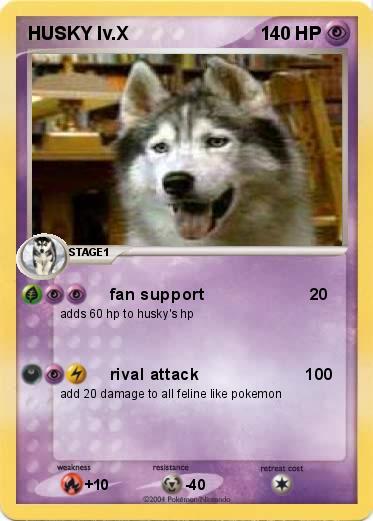 Pokemon HUSKY lv.X