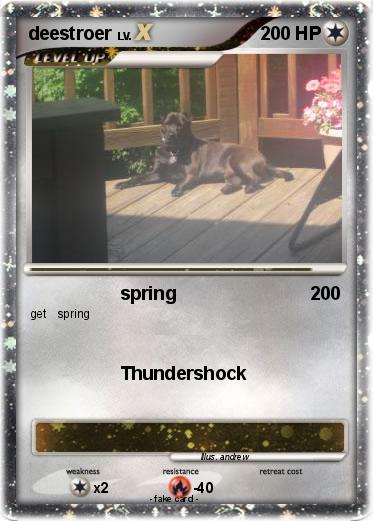 Pokemon deestroer