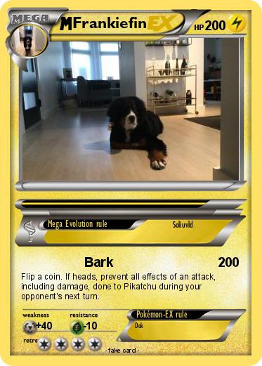 Pokemon Frankiefin