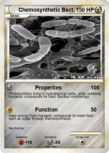 Pokemon Chemosynthetic Bact.