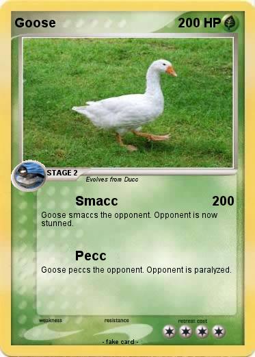 Pokemon Goose