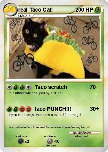 Pokemon real Taco Cat!