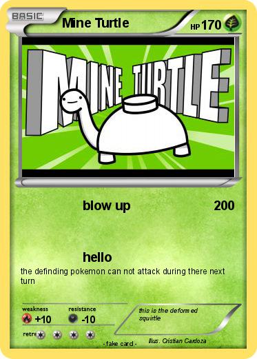 Pokemon Mine Turtle