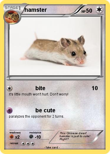 Pokemon hamster