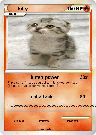Pokemon kitty