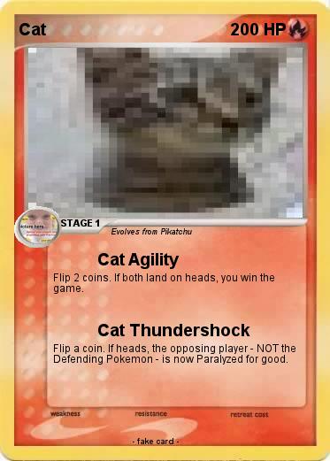 Pokemon Cat