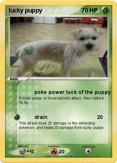 Pokemon lucky puppy