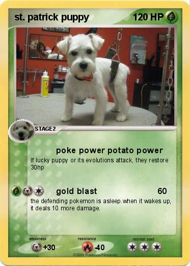 Pokemon st. patrick puppy