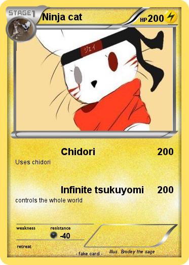 Pokemon Ninja cat