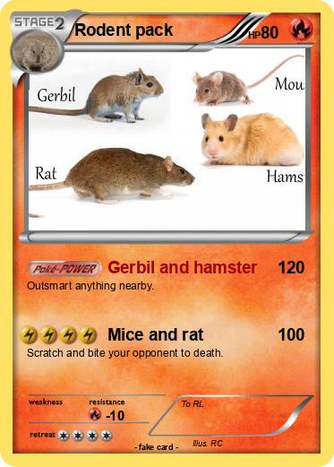 Pokemon Rodent pack