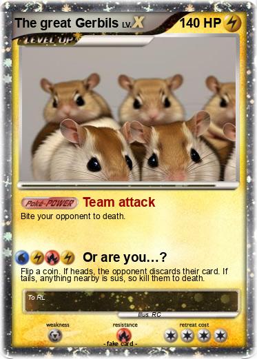 Pokemon The great Gerbils