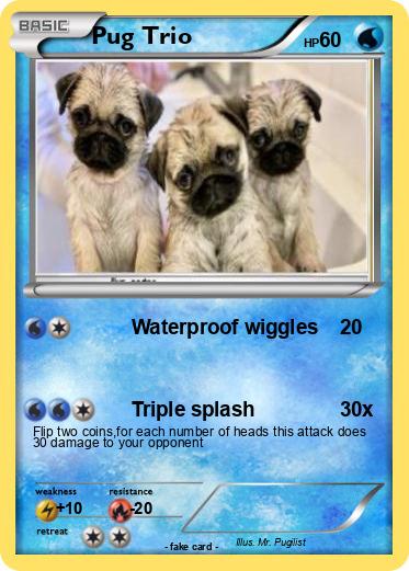 Pokemon Pug Trio