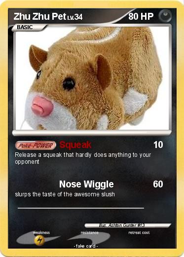Pokemon Zhu Zhu Pet