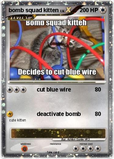 Pokemon bomb squad kitten