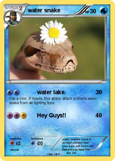 Pokemon water snake