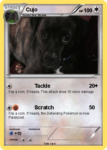 Pokemon Cujo