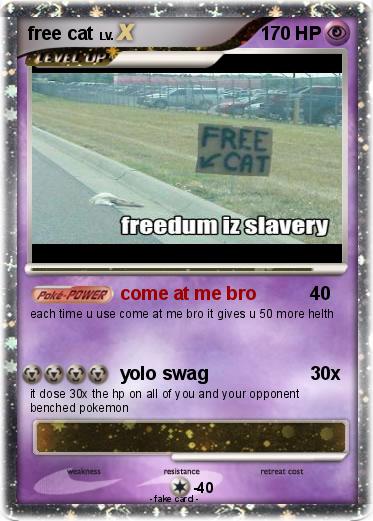 Pokemon free cat