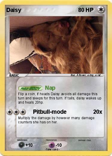 Pokemon Daisy