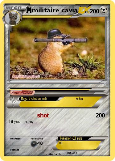 Pokemon militaire cavia