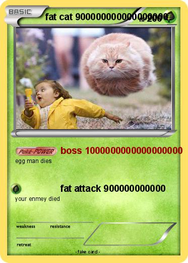 Pokemon fat cat 900000000000000000