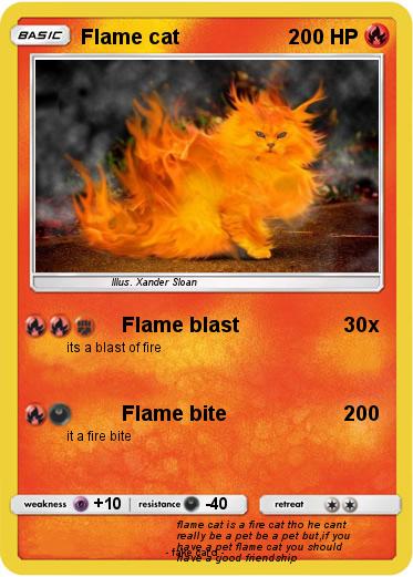 Pokemon Flame cat