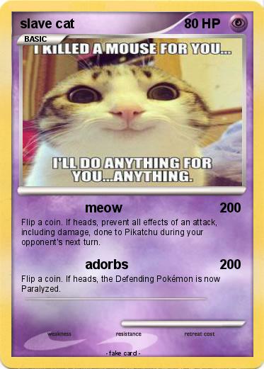 Pokemon slave cat