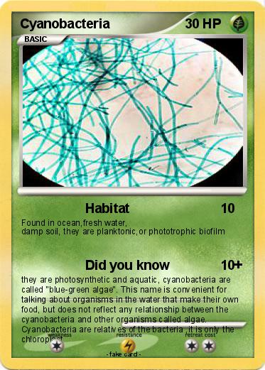 Pokemon Cyanobacteria