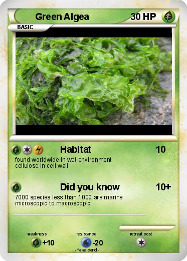 Pokemon Green Algea