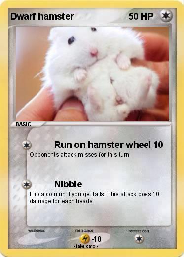 Pokemon Dwarf hamster