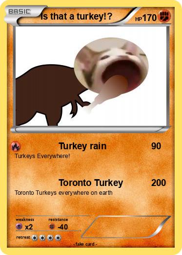 Pokemon Is that a turkey!?