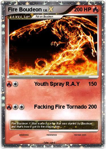 Pokemon Fire Boudeon