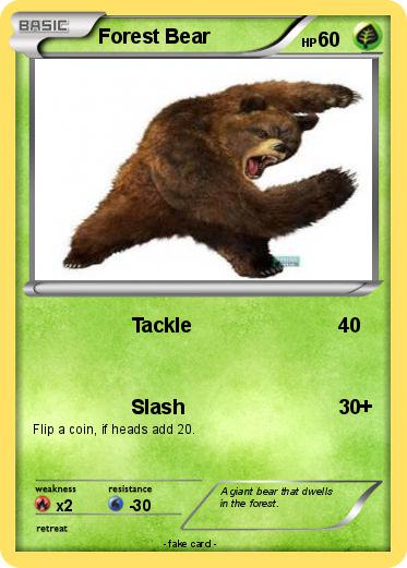 Pokemon Forest Bear